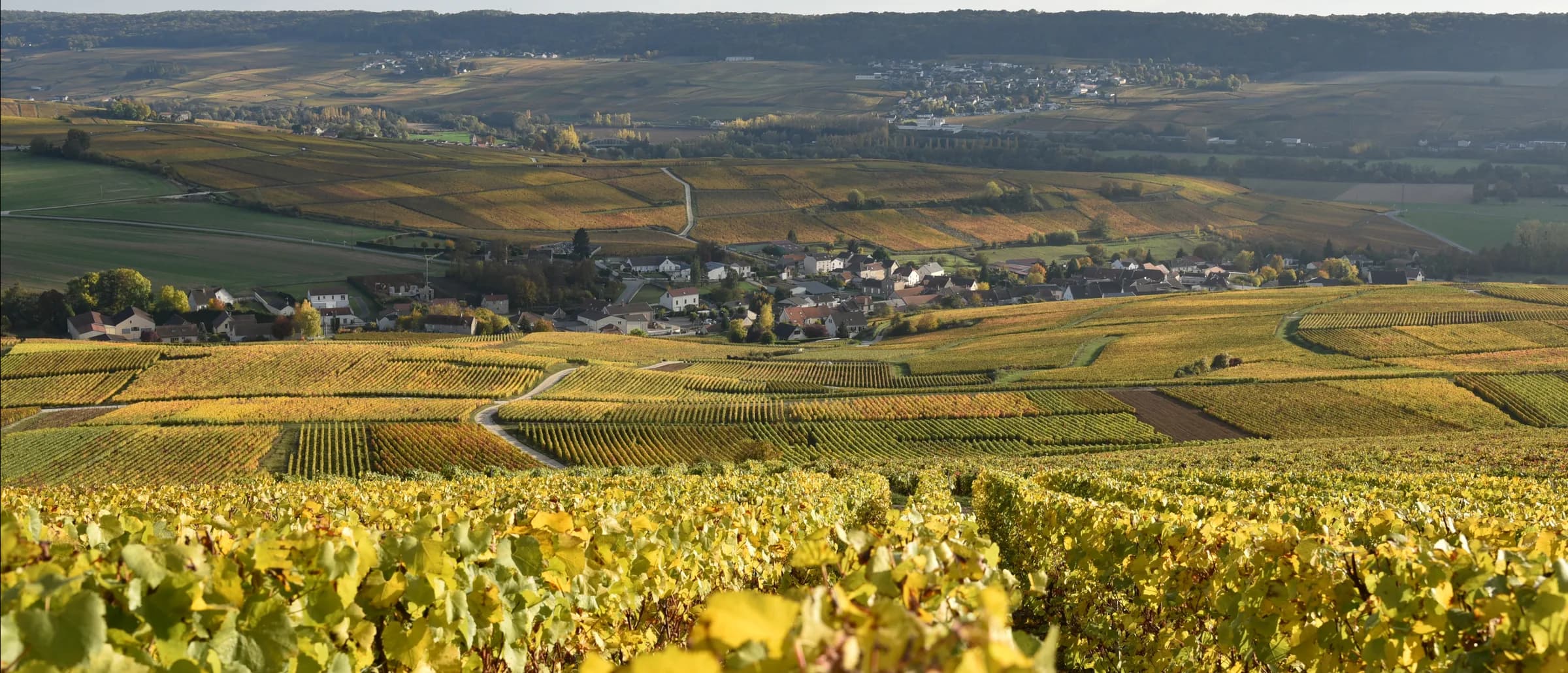 Coteaux viticoles autour de Binson-et-Orquigny en automne