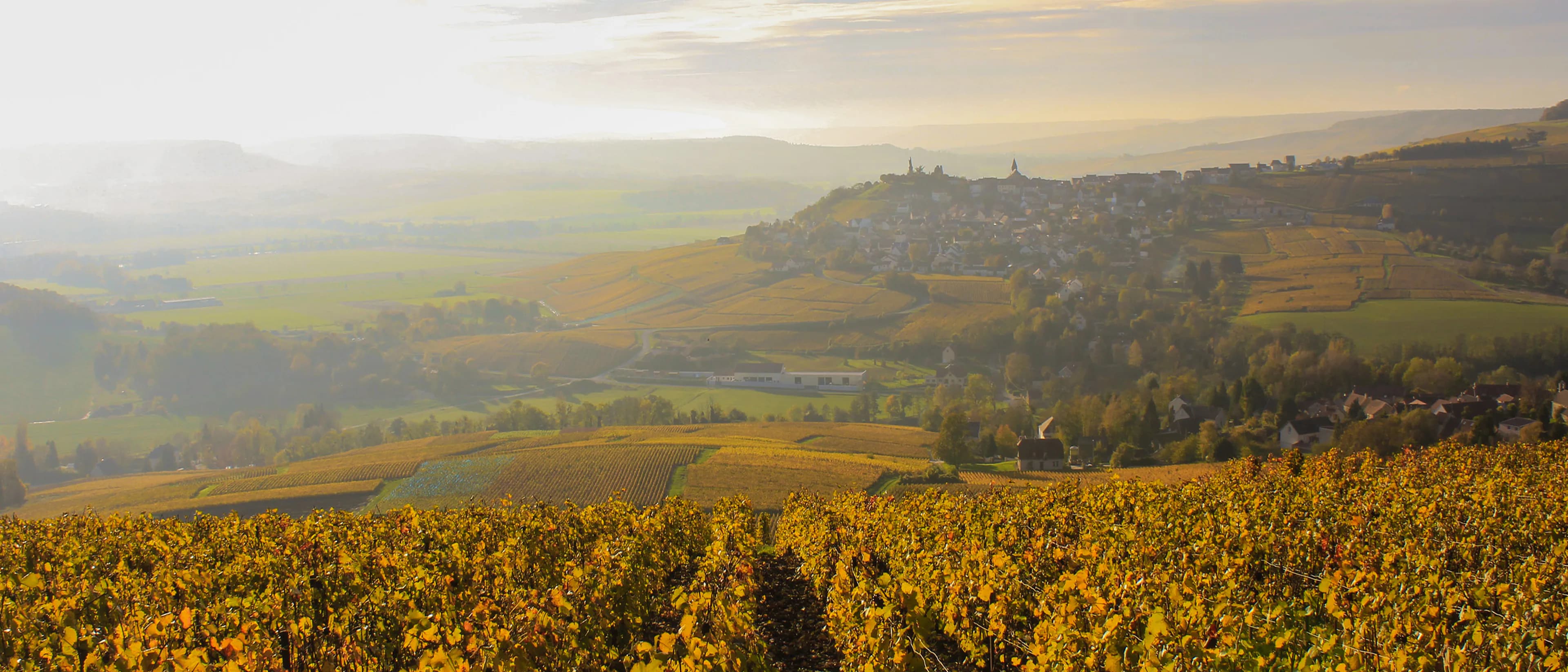 Vignoble champenois autour de Binson-et-Orquigny en automne
